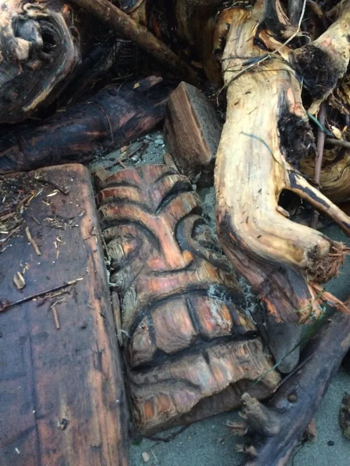 Encontrado en la playa