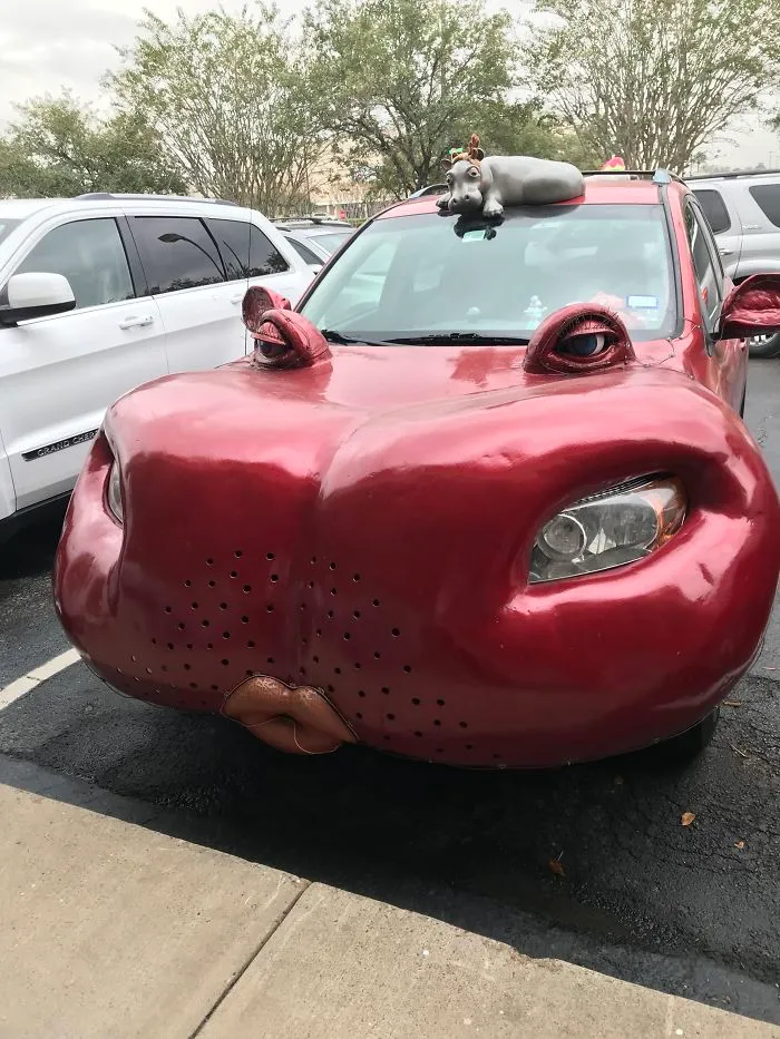 Coche hipopótamo