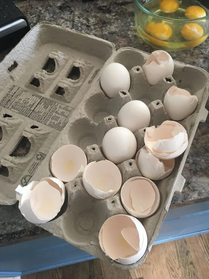 Así Deja Mi Mujer Las Cáscaras De Huevo En Lugar De Tirarlas A La Basura
