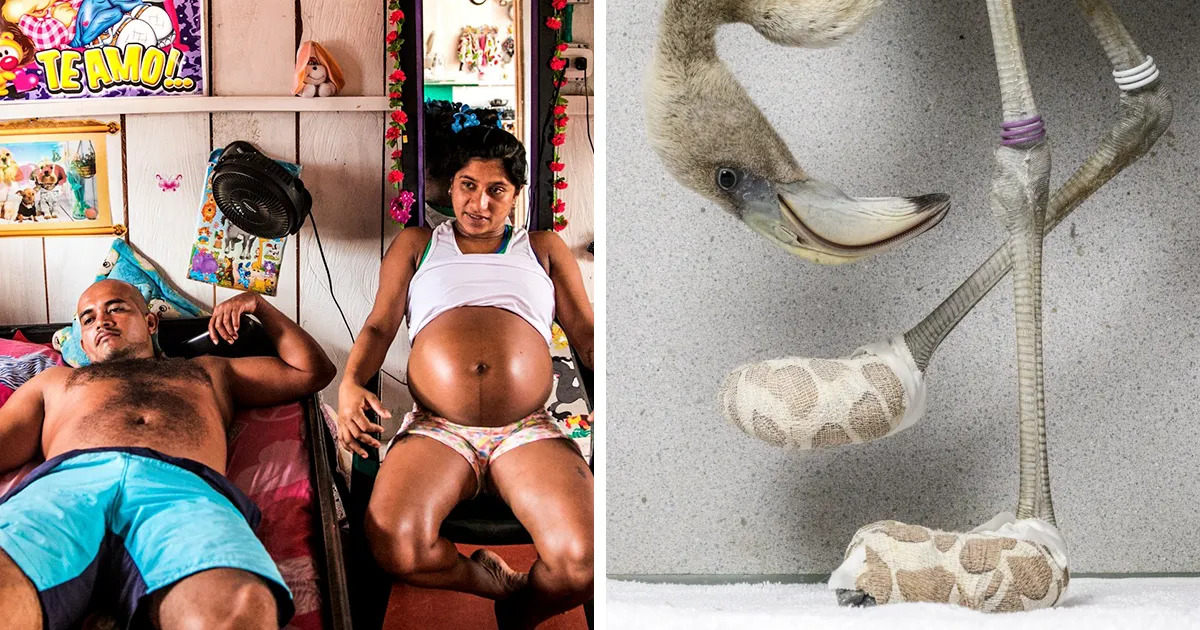 Anuncian las 30 fotos de prensa más elocuentes del año