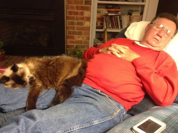 Mi padre de 70 años y su gato de 20 pasando la tarde