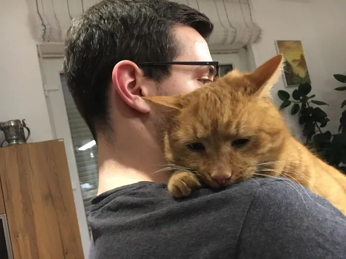 Mi novio consolando al gato, que ha tenido un día muy duro