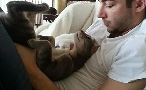 30 Of The Most Adorable Photos Of Cat Dads And Their Furry Friends