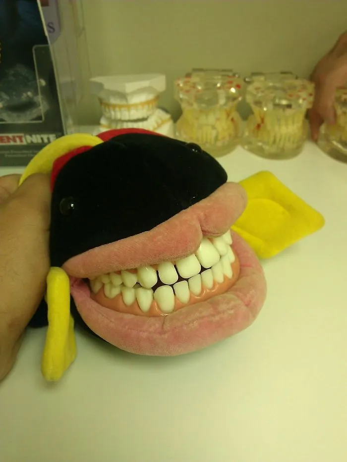 30 Horror-Inducing Educational Dentist Toys That Prove Their Creators Did Not Think It Through