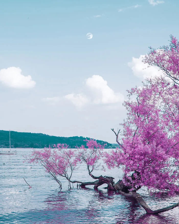Here's How The World Would Look Like If It Was All Pink