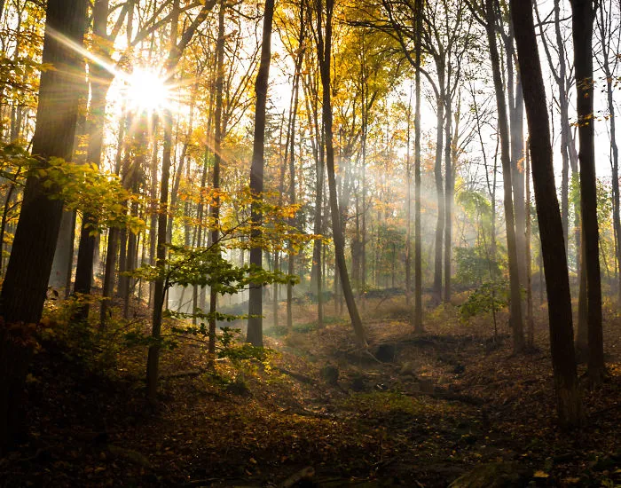 2 Years After First Learning, Prodigy Takes These Incredible Pictures
