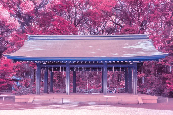 Here's How The World Would Look Like If It Was All Pink