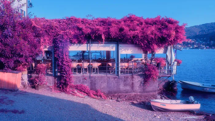 Here's How The World Would Look Like If It Was All Pink