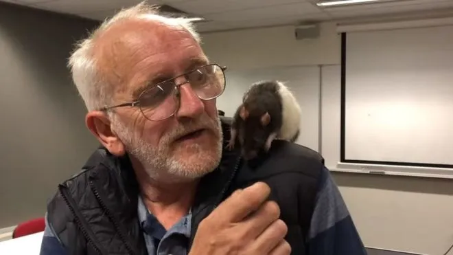 Homeless Man Reunited With Lucy!