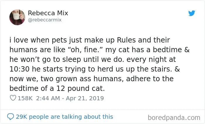 30 Times Women Shared Their Thoughts On Twitter And Made People Crack Up