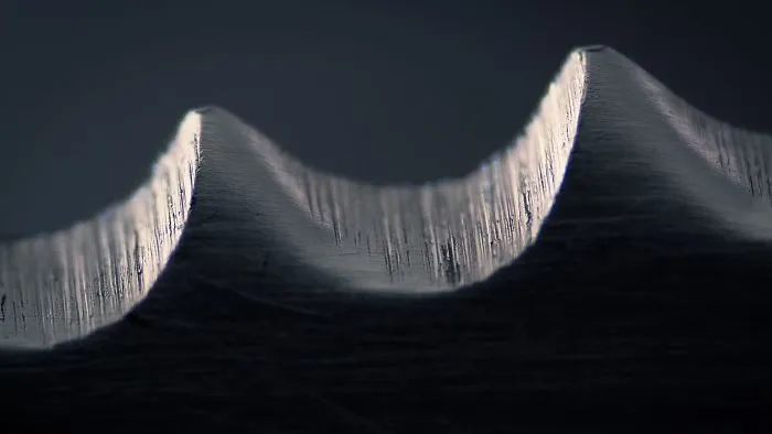 Serrated Knife