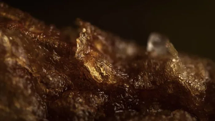 Potato Chip