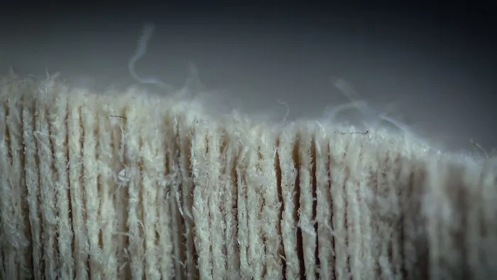 Book Pages