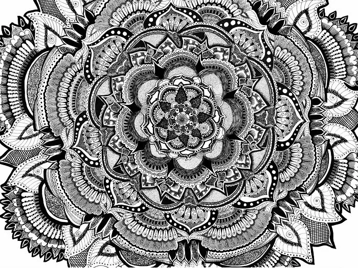 Doodles Saved My Life