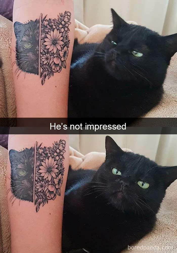 40 Hilarious Cat Snapchats That Will Leave You With The Biggest Smile (New Pics)
