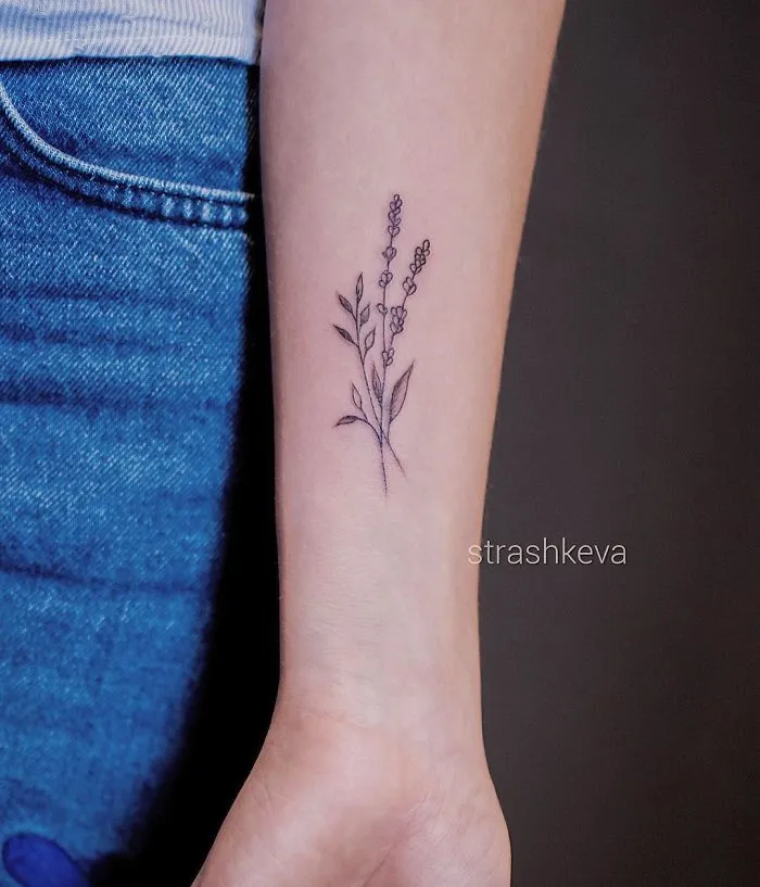 Lavender