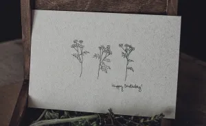 We Created Minimalist Flora Birthday Cards Which Make Us Dream Of Summer