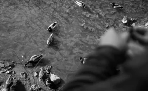 One Day With Homeless