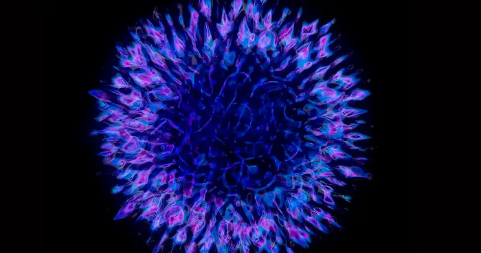 Scientist 'Photographs' Sounds By Using 'Simple' Cymatics Technique And The Results Are Out Of This World