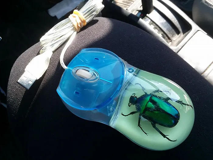 30 Times People Couldn’t Believe Their Luck In Thrift Stores (New Pics)