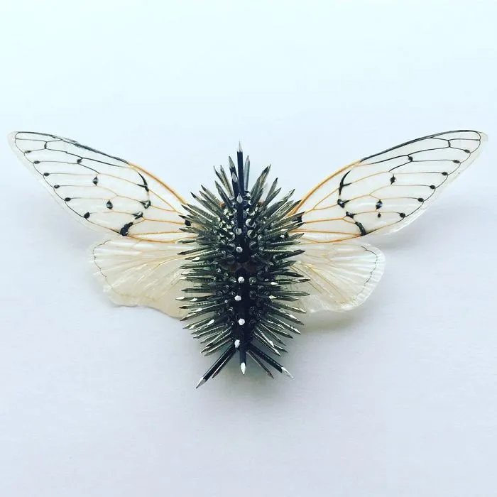 Cicada Art - Body Armour 3