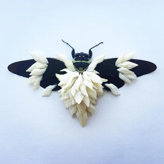 Cicada Art - Body Armour 5