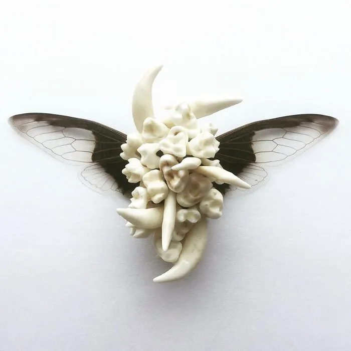 A Cicada With Teeth