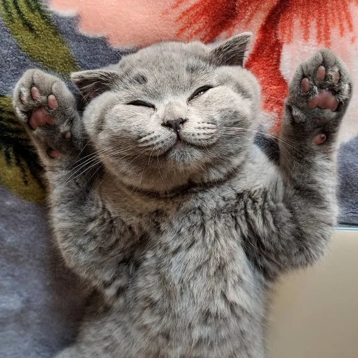 Isn't He Cute?