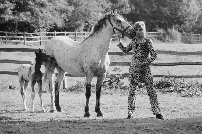 Rod Stewart