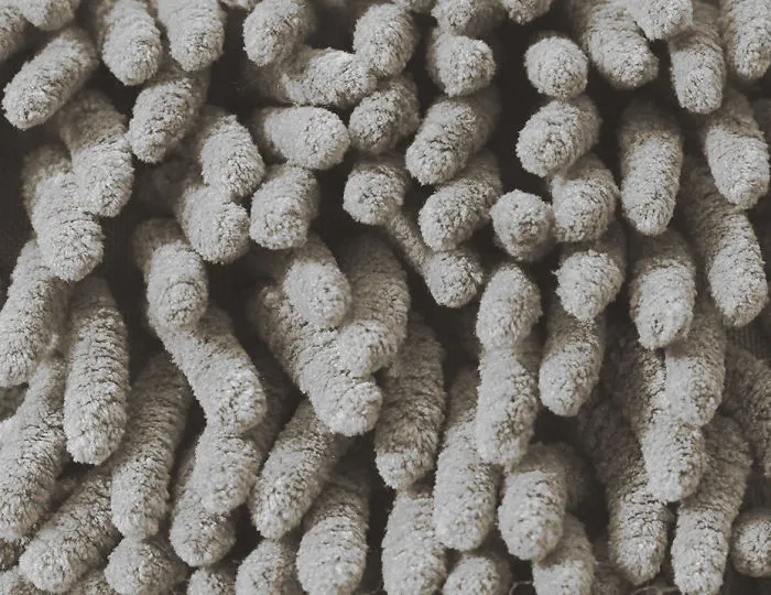 Coral Reefs Or Broccoli?