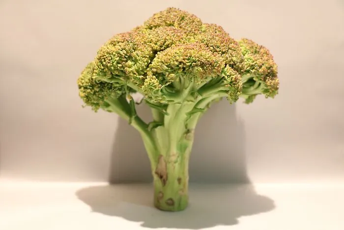 Coral Reefs Or Broccoli?