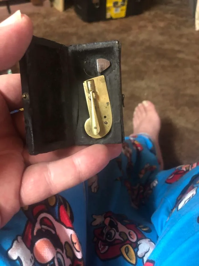 What Is This Thing?