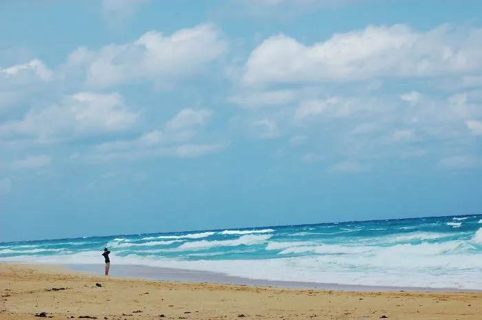 Playas Del Este