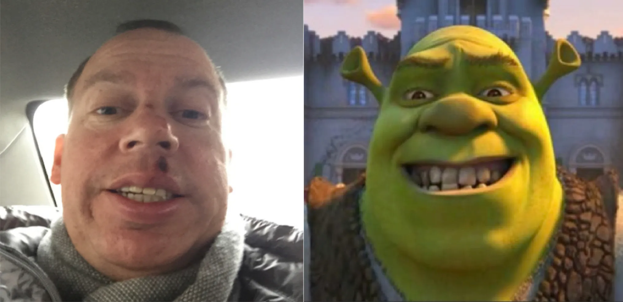 Shrek Doppelgänger!