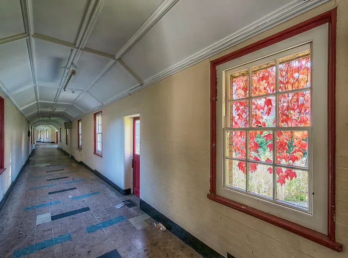 A Corridor Warmed By Autumnal Leaves