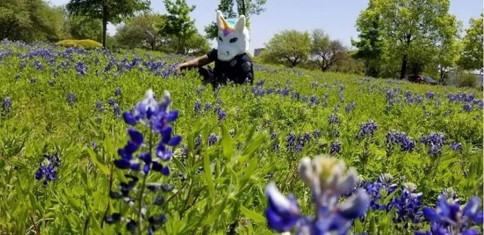 Police-Pics-Back-The-Blue-Bonnets-Texas