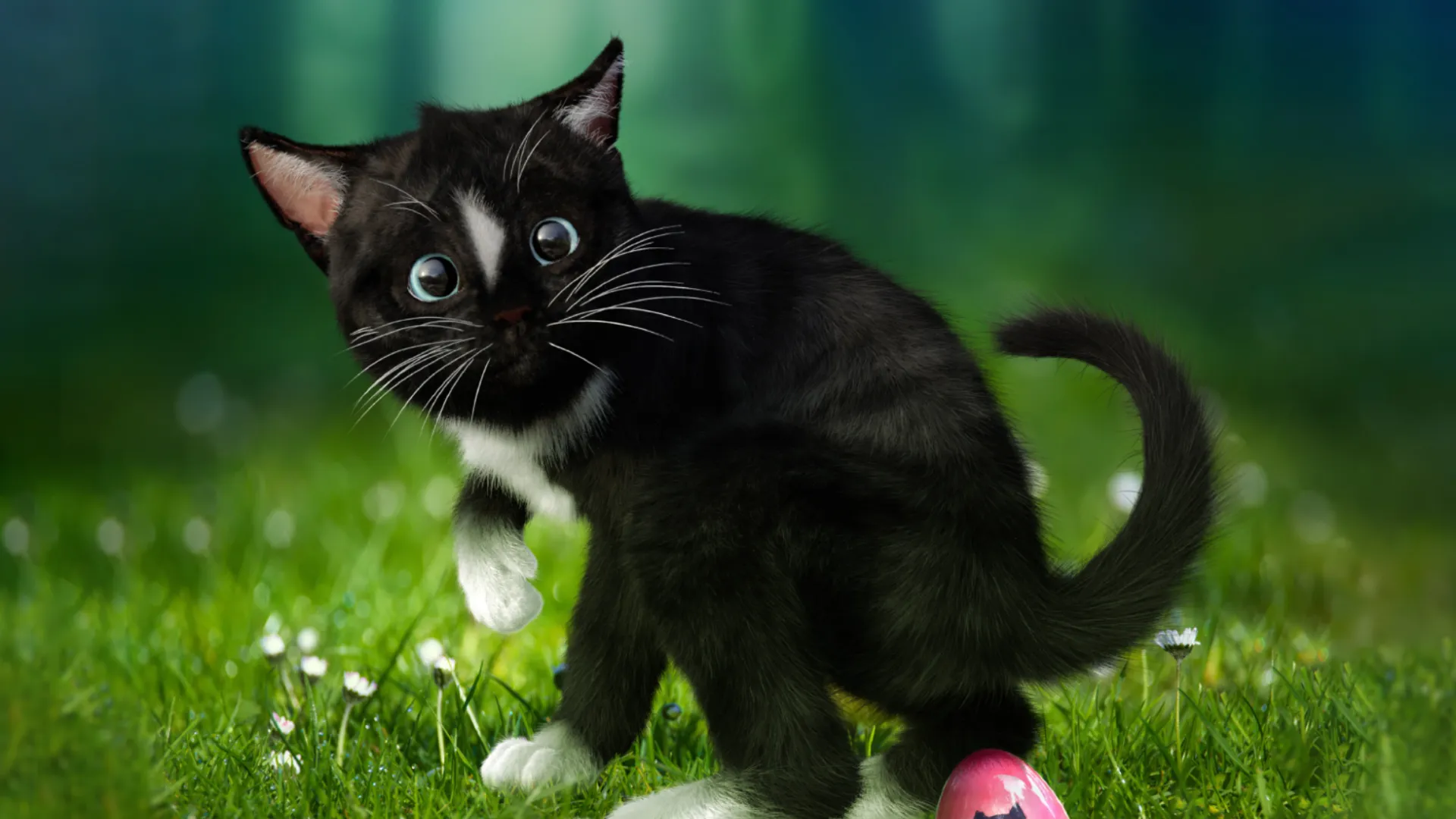 Cat Thinks He's The Easter Bunny And Lays An Egg!
