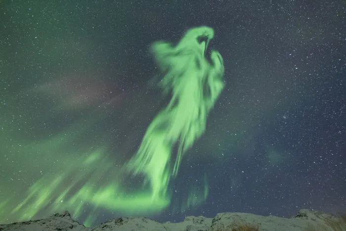 30 Of My Best Photos That Explain The Craze Around The Northern Lights
