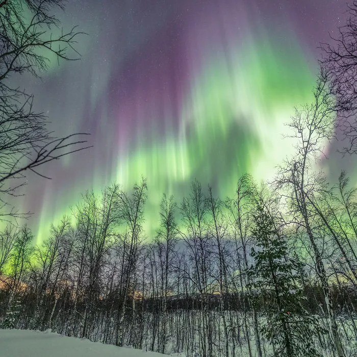 30 Of My Best Photos That Explain The Craze Around The Northern Lights