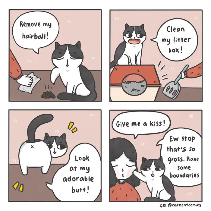 Boundaries