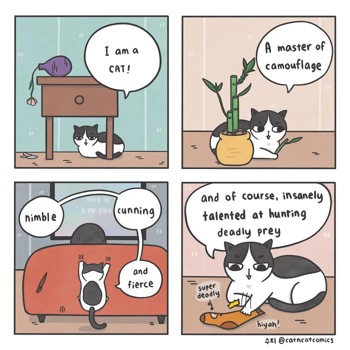 I Am A Cat!