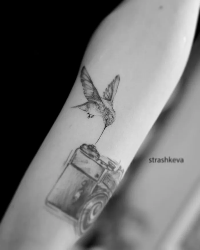 A Bird And Camera