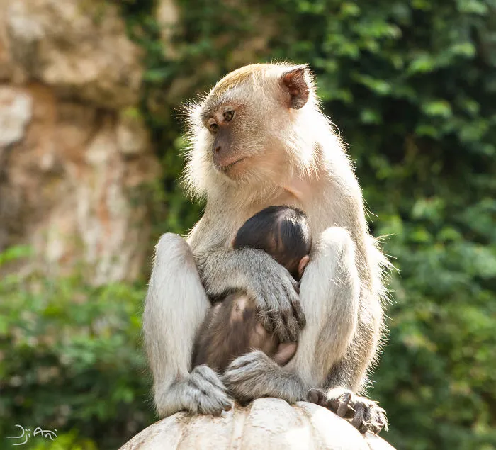 I Traveled To Malaysia, And I Try To Photograph Its Beauty