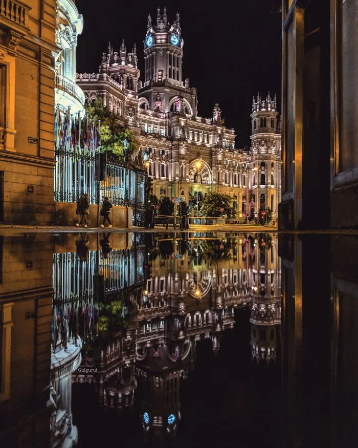 I Travel The Globe To Capture The Parallel Worlds Of Puddles (New Pics)