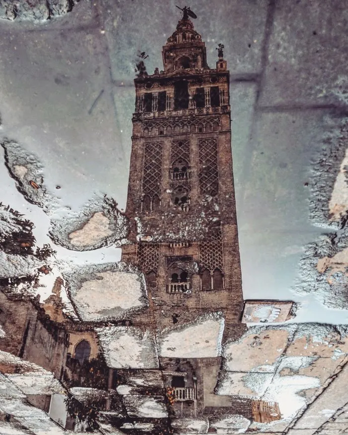 I Travel The Globe To Capture The Parallel Worlds Of Puddles (New Pics)