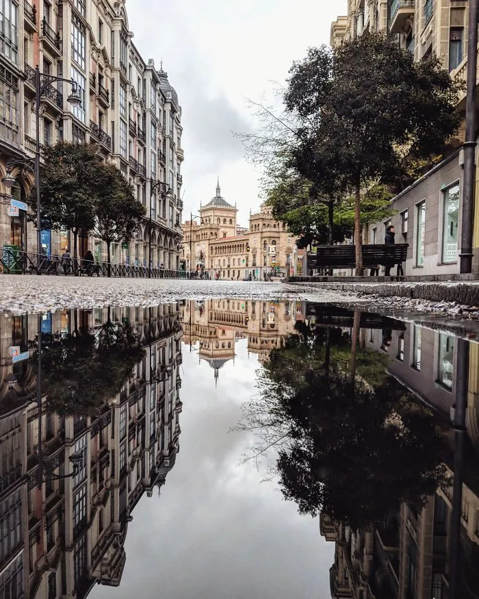 I Travel The Globe To Capture The Parallel Worlds Of Puddles (New Pics)