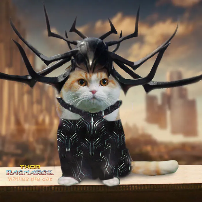 Hela