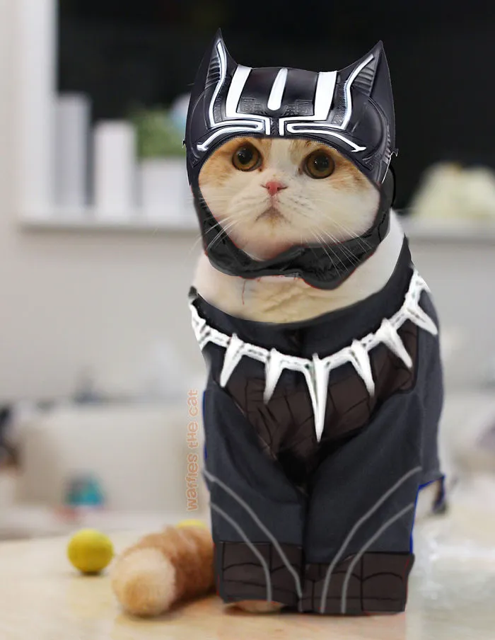 Black Panther