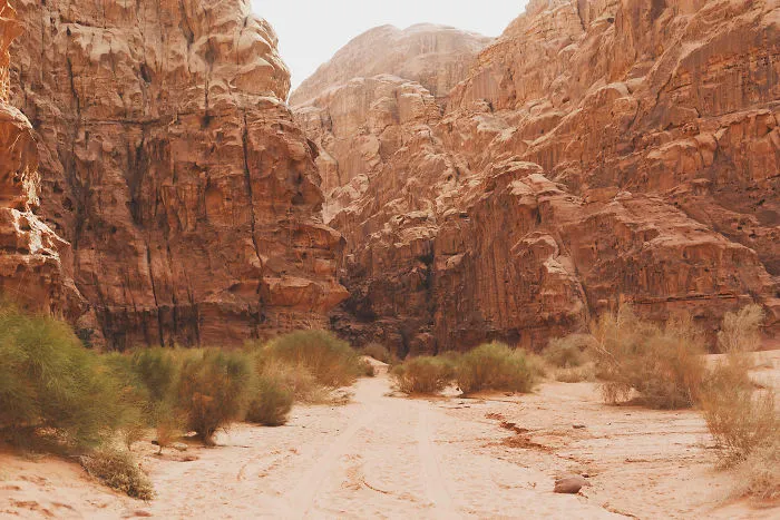 Experience Jordan
