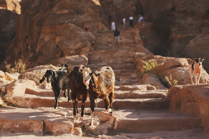 Experience Jordan